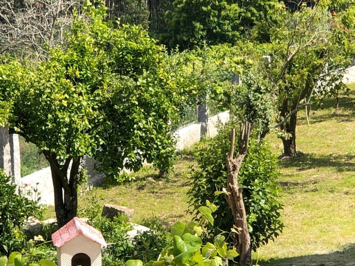 Gasthaus Casa Estrella Tebra Exterior foto